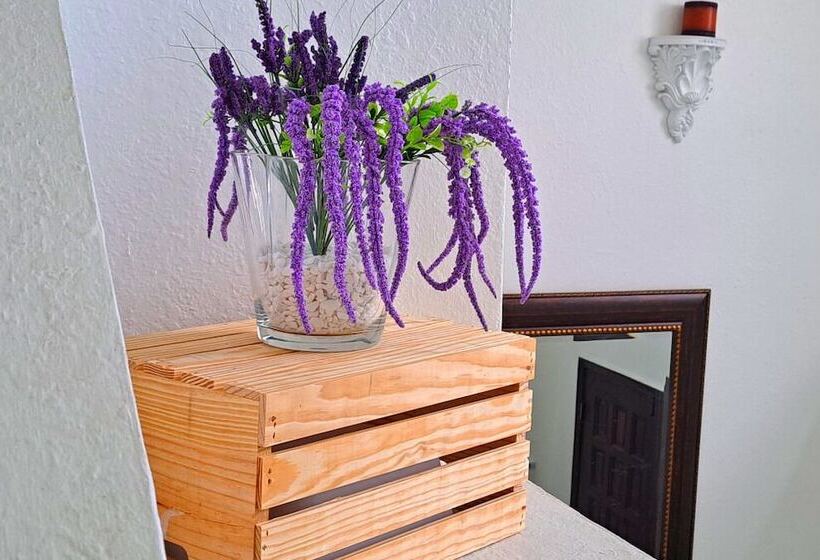 بنسيون Chic Ocean Miami 88