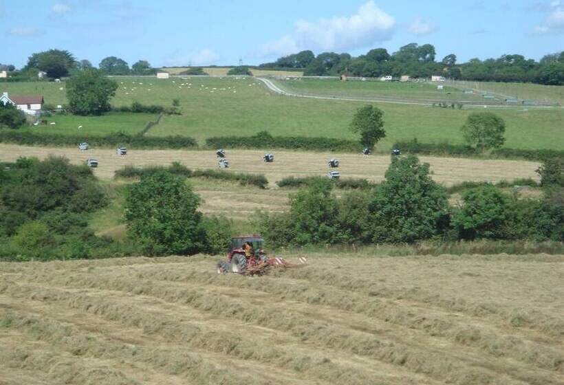 膳宿费 The Manian