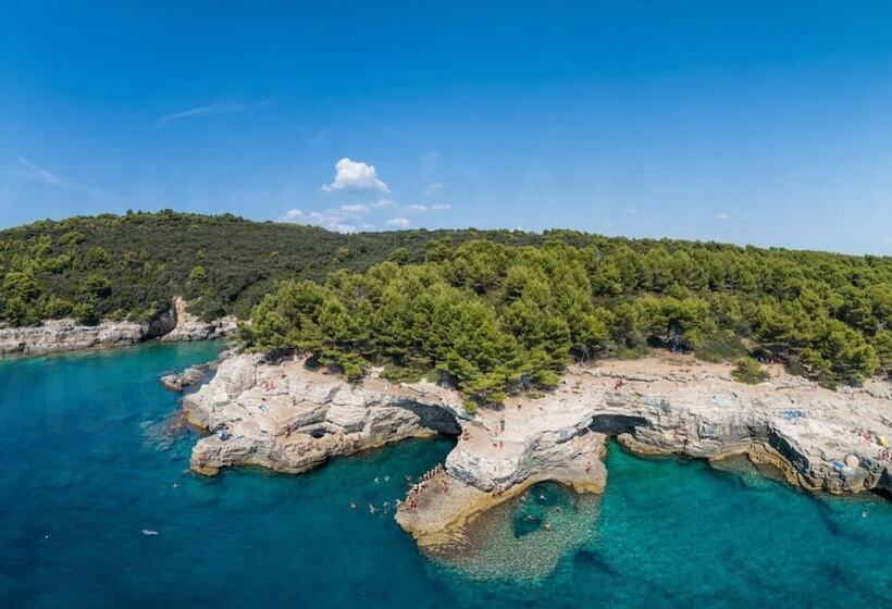 ペンション Ul. Dinka Trinajstića 10