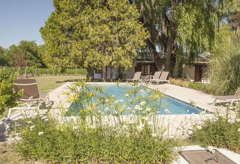 Postales Hotel  Boutique Valle De Uco