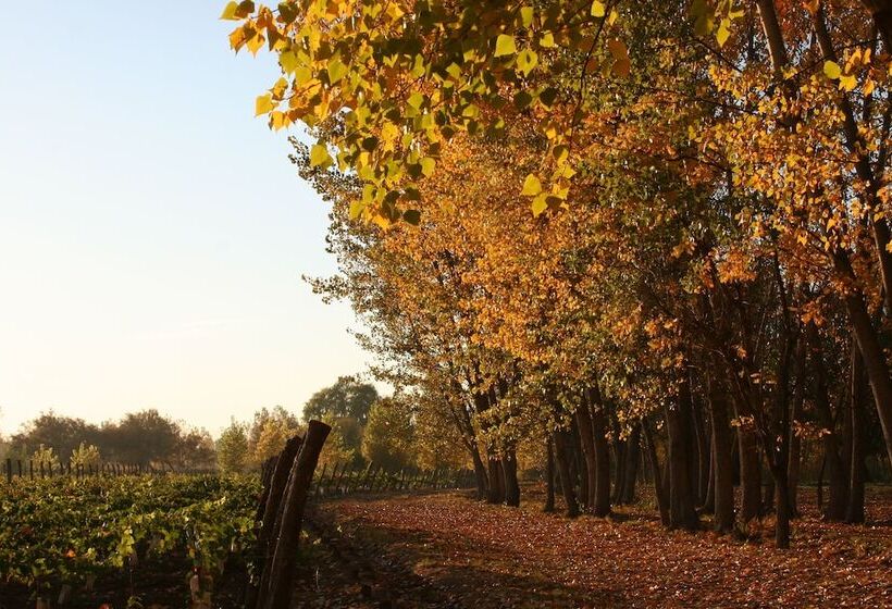 Postales Hotel  Boutique Valle De Uco