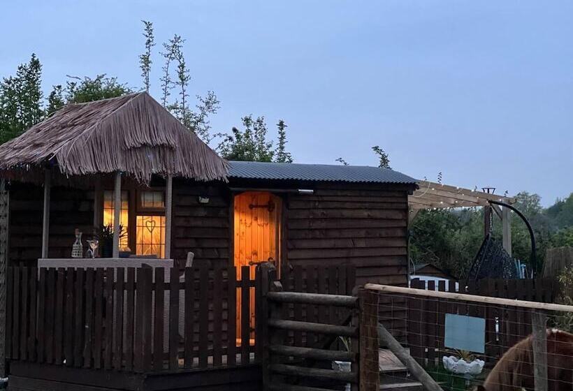 Cute And Cosy Shepard Hut With Wood Fuel Hot Tub