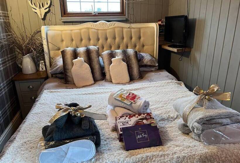 Cute And Cosy Shepard Hut With Wood Fuel Hot Tub