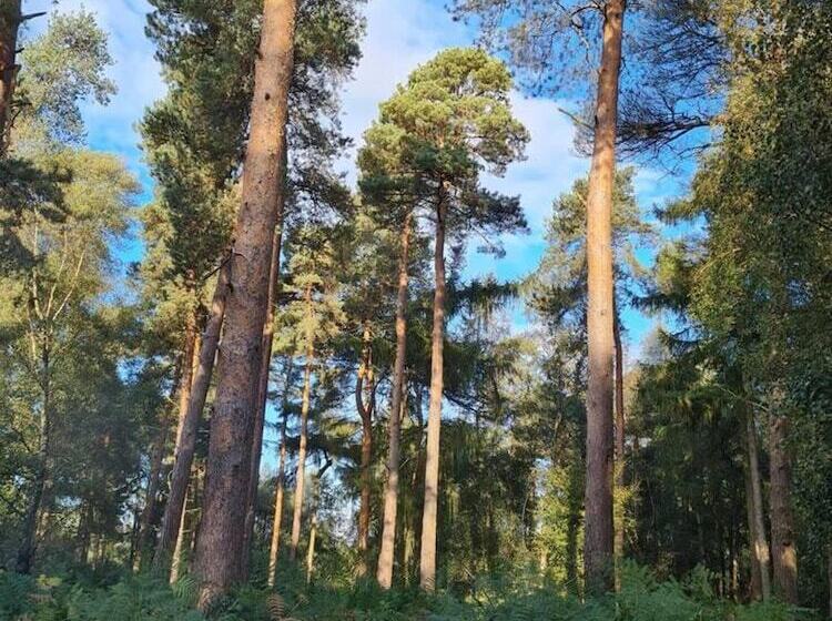 اقامتگاه Charming 2 Bed Cabin In Sutton Coldfield