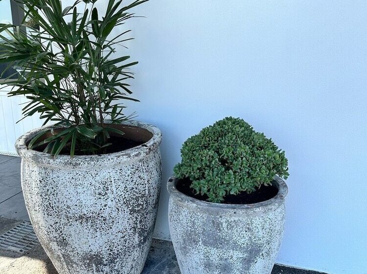 Surf Beach Motel Newcastle