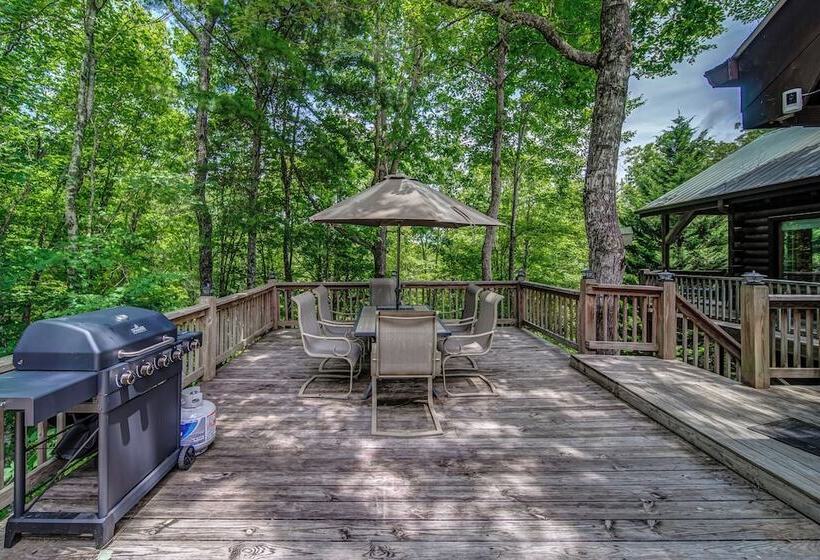 Treetop Oasis