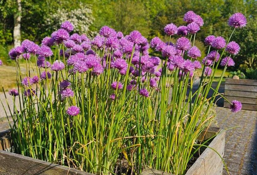 הוסטל Gudum Park