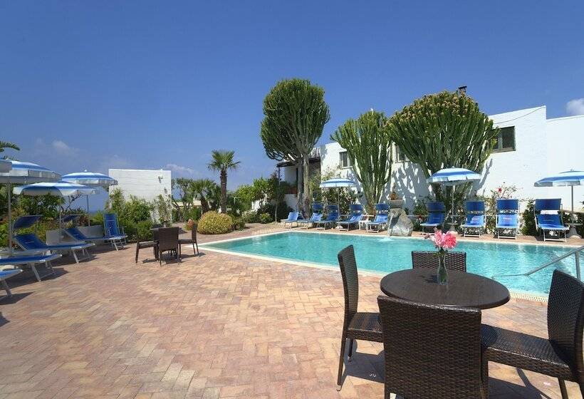Room In B&b   Ischia Forio, Under The Sign Of Relaxation And Well Being N5480