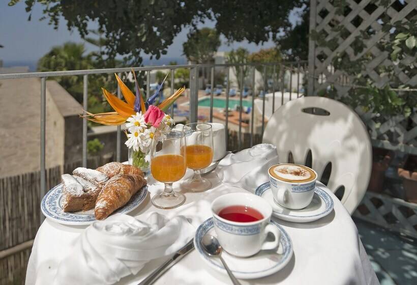Room In B&b   Ischia Forio, In 4 Under The Sign Of Relaxation And Well Being