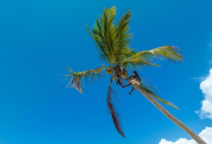 F Zeen Boutique Hotel Zanzibar