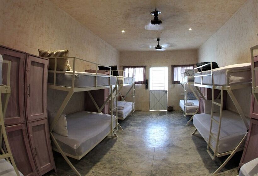 Hostel Valladolid 48