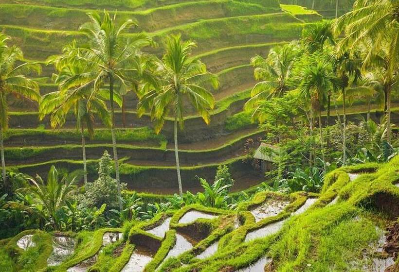 בית מלון כפרי Anandadara Ubud Resort & Spa
