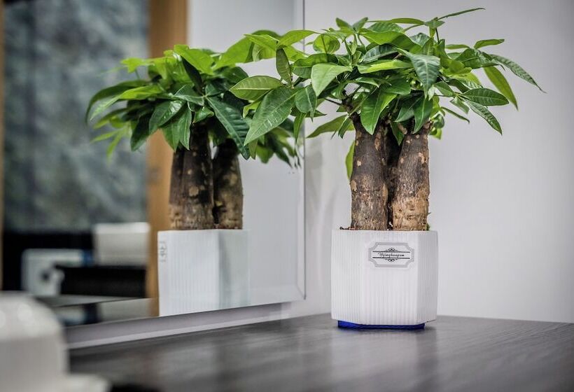 فندق A&j Kampot Boutique