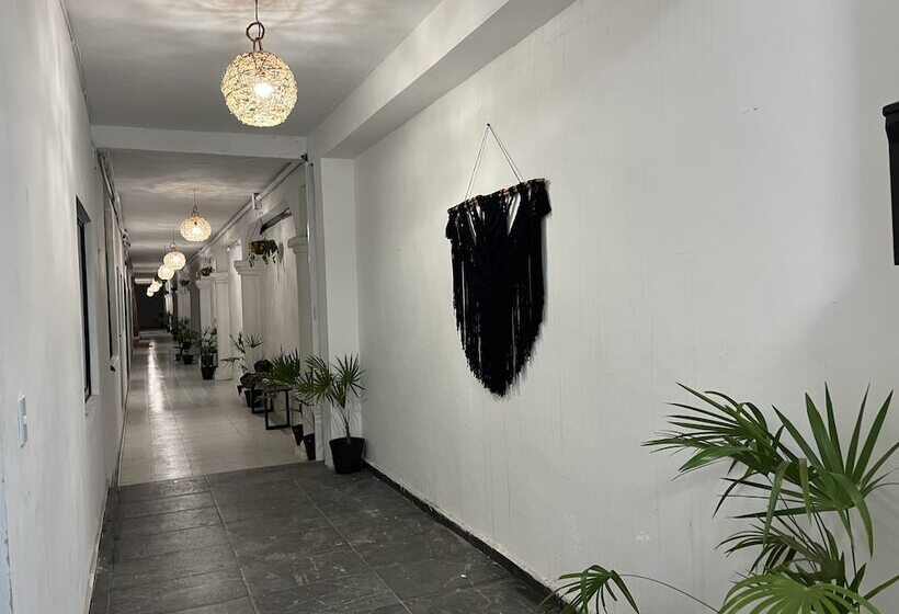 בית מלון כפרי Balam Playa   15Th. Ave