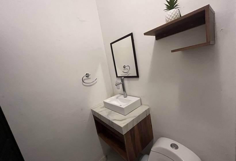 בית מלון כפרי Balam Playa   15Th. Ave