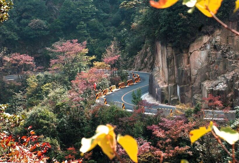 ホテル Blossom Garden Resort