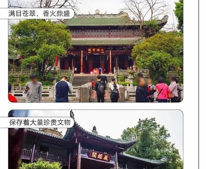 호텔 Blossom Garden Resort