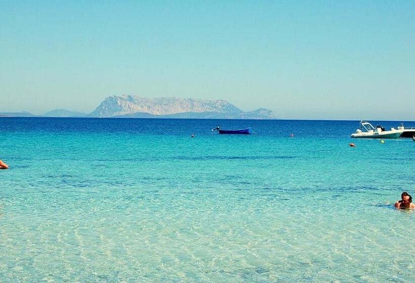 فندق Budoni Beach
