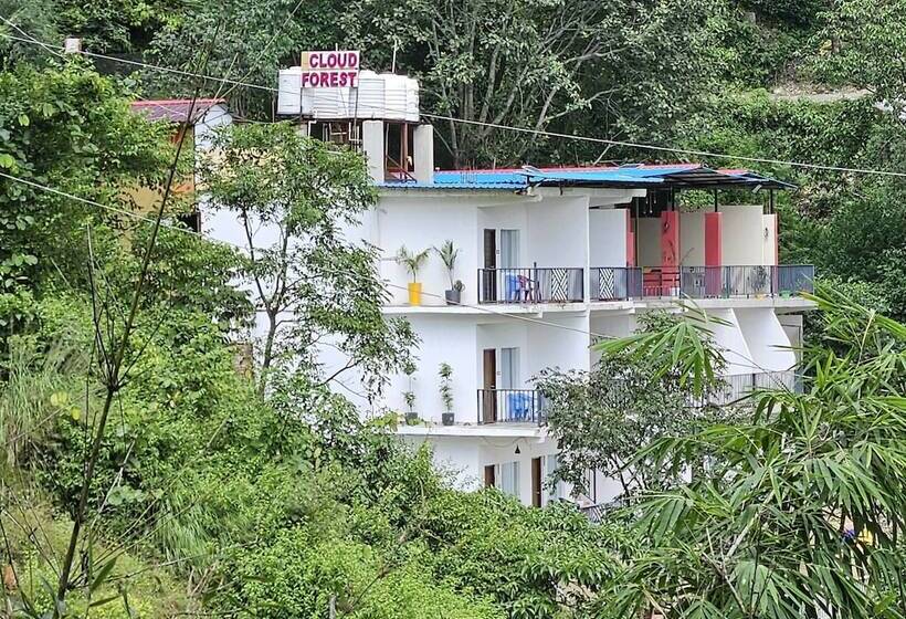 בית מלון כפרי Cloud Forest