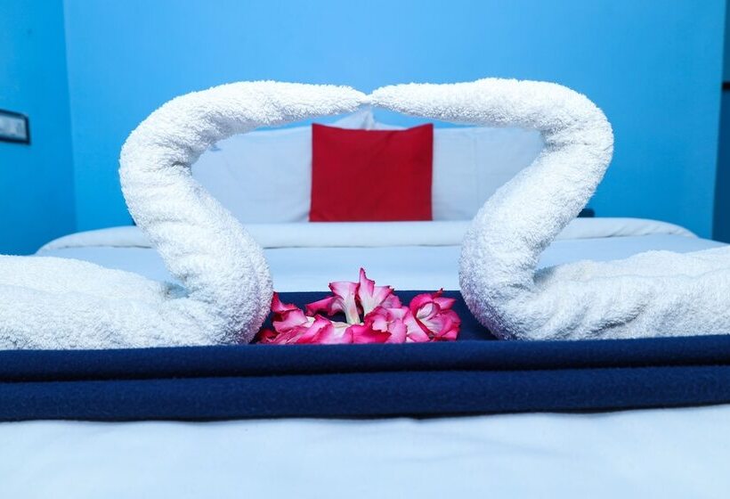 فندق Dolphin Beach Guest House