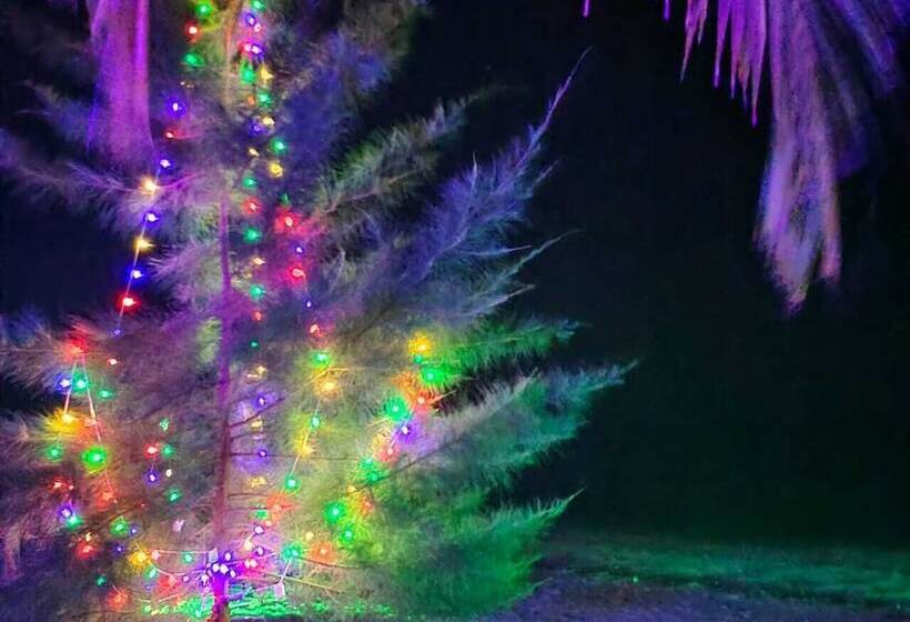 ホテル Honeymoon Beach Resort