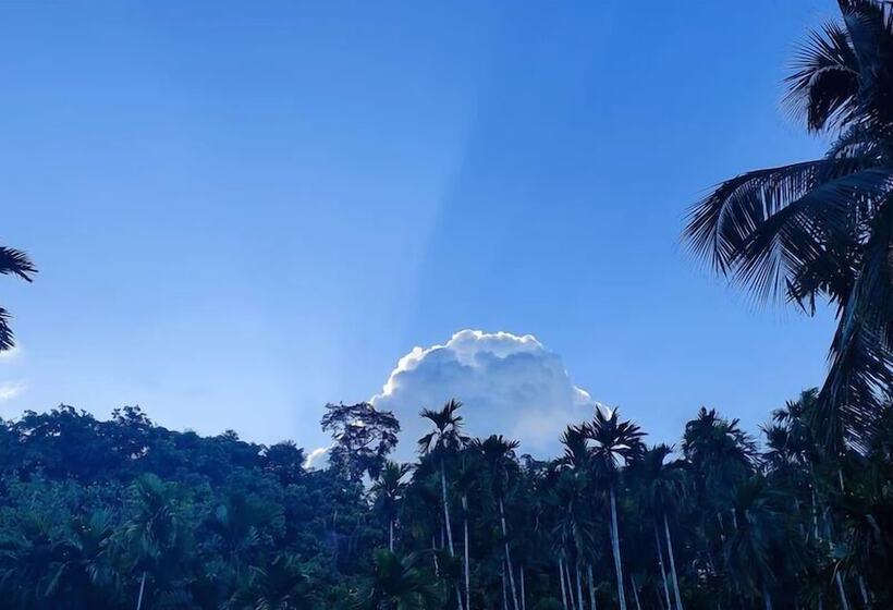 호텔 Honeymoon Beach Resort