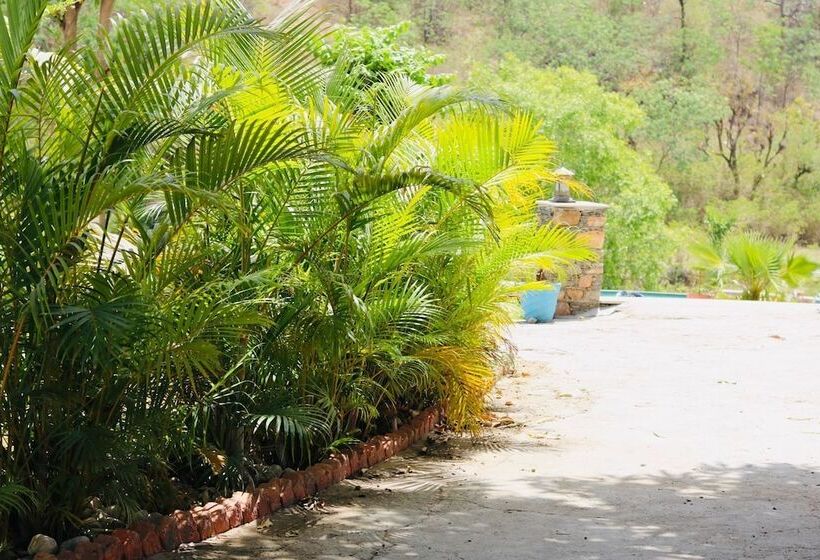 فندق Jungle Journey