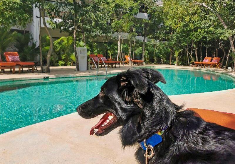 هتل Kimpton Aluna Resort Tulum, An Ihg