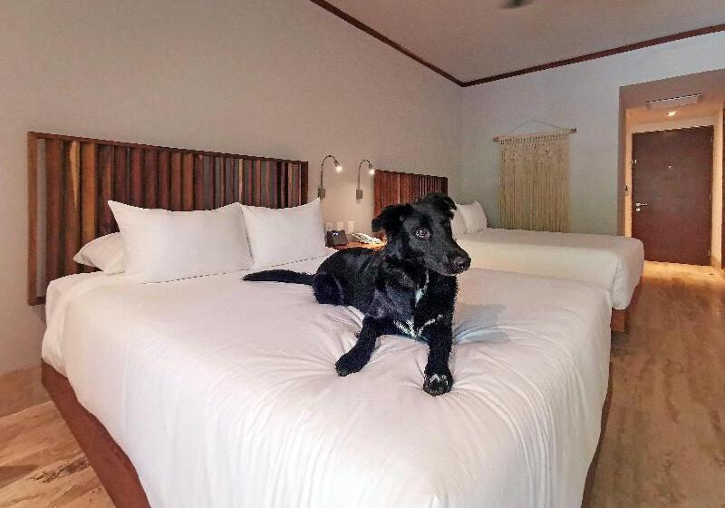 هتل Kimpton Aluna Resort Tulum, An Ihg