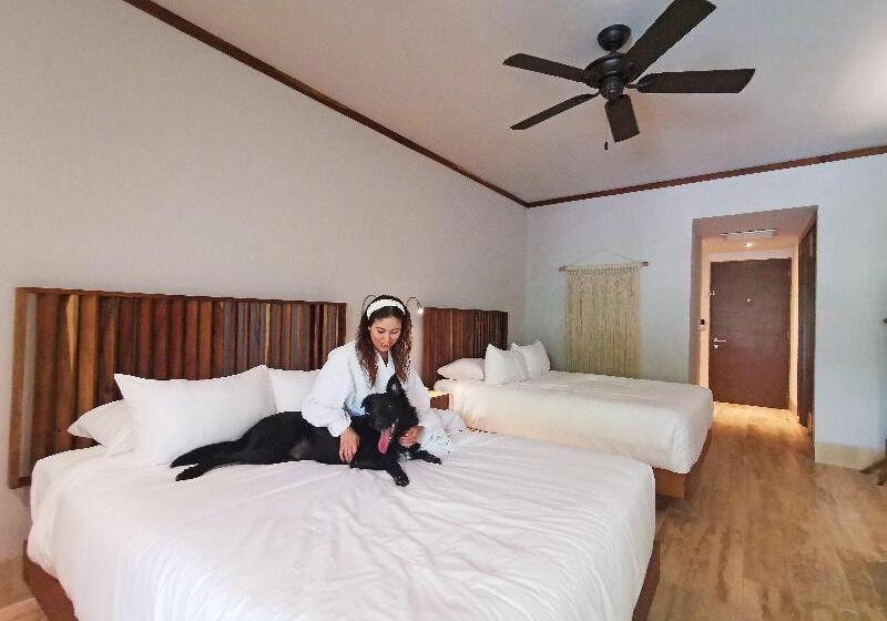 هتل Kimpton Aluna Resort Tulum, An Ihg