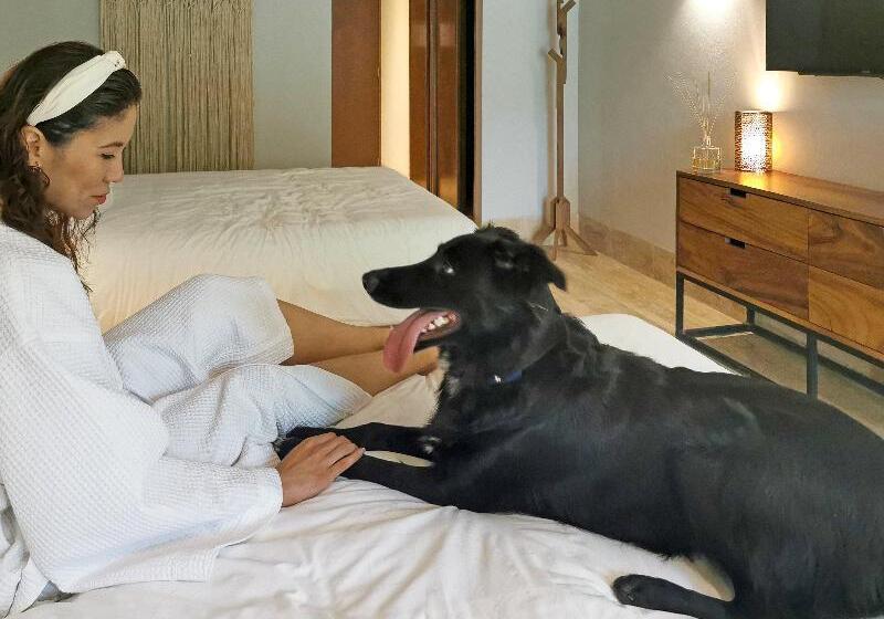 هتل Kimpton Aluna Resort Tulum, An Ihg