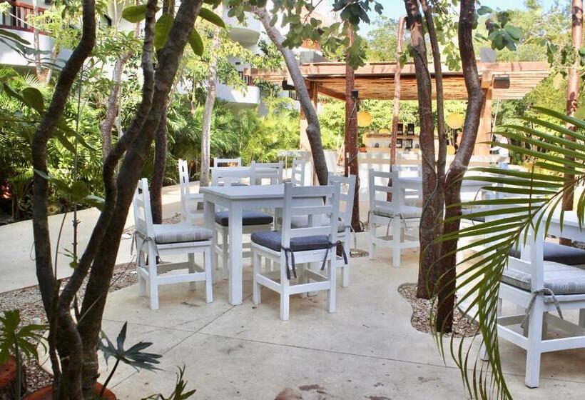 هتل Kimpton Aluna Resort Tulum, An Ihg