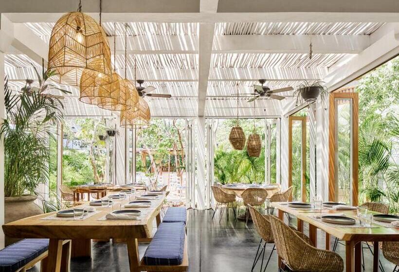 هتل Kimpton Aluna Resort Tulum, An Ihg