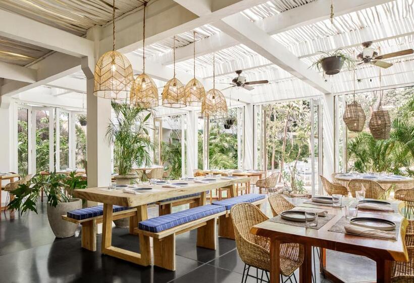 هتل Kimpton Aluna Resort Tulum, An Ihg