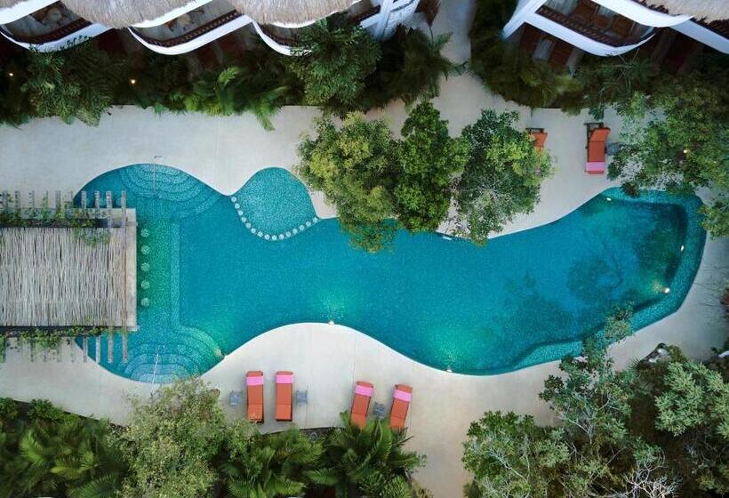 هتل Kimpton Aluna Resort Tulum, An Ihg