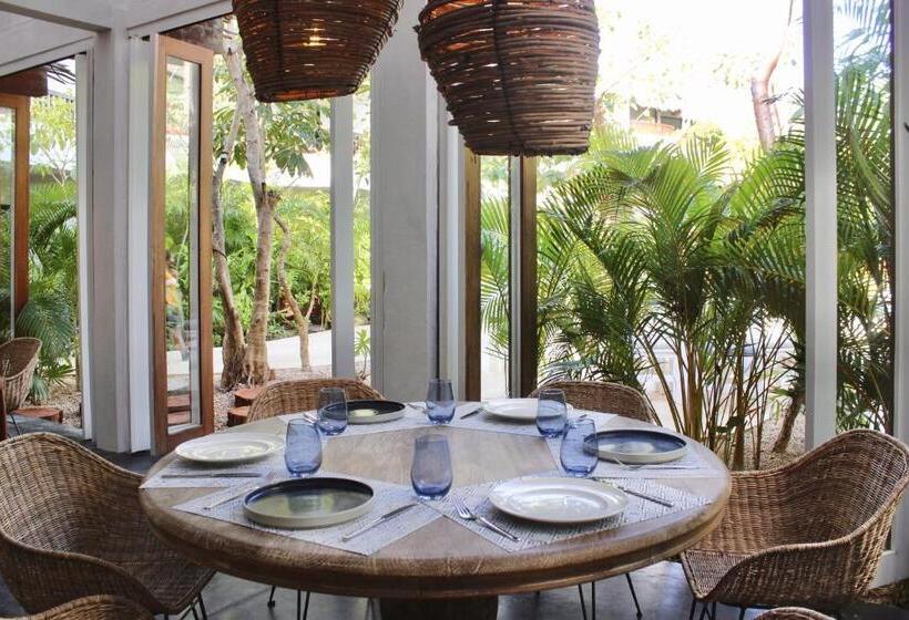 هتل Kimpton Aluna Resort Tulum, An Ihg