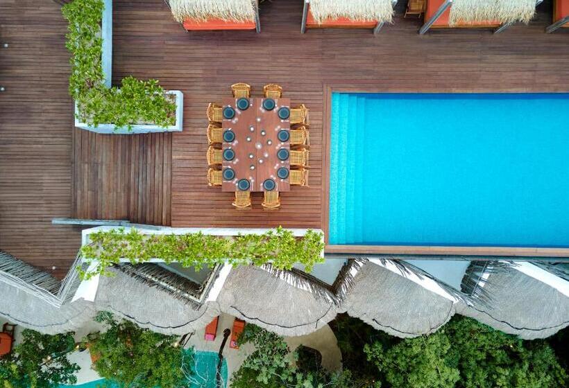 هتل Kimpton Aluna Resort Tulum, An Ihg