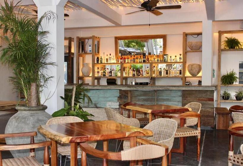 هتل Kimpton Aluna Resort Tulum, An Ihg