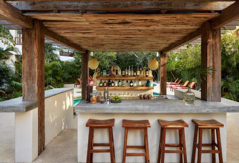 هتل Kimpton Aluna Resort Tulum, An Ihg