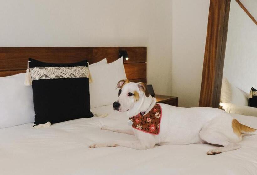 هتل Kimpton Aluna Resort Tulum, An Ihg