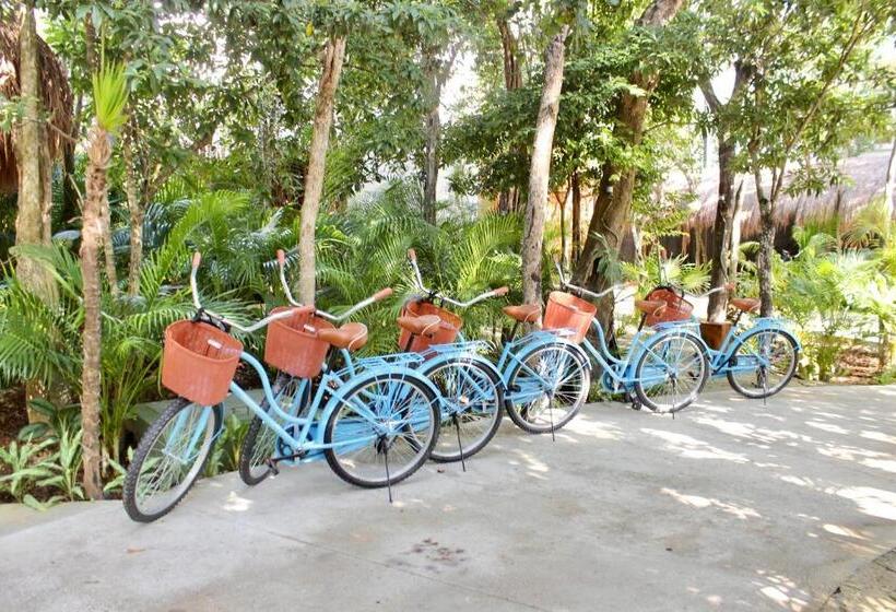 هتل Kimpton Aluna Resort Tulum, An Ihg