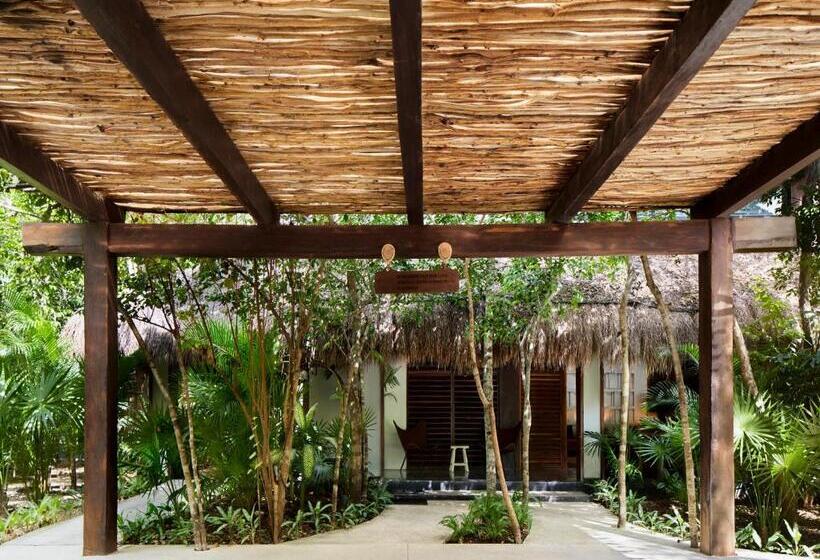 هتل Kimpton Aluna Resort Tulum, An Ihg