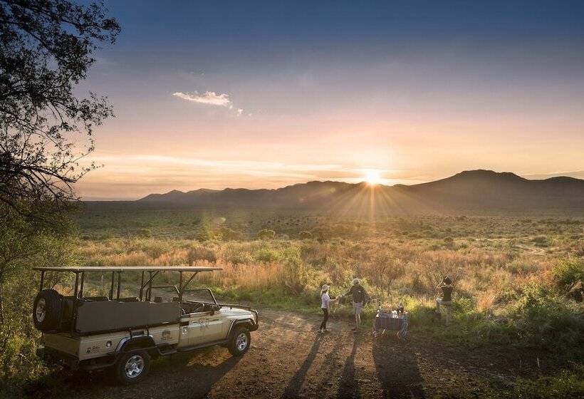 ホテル Mbazo Safaris