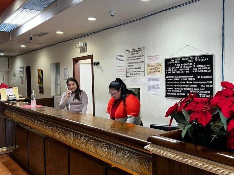 فندق Meson Del Rey