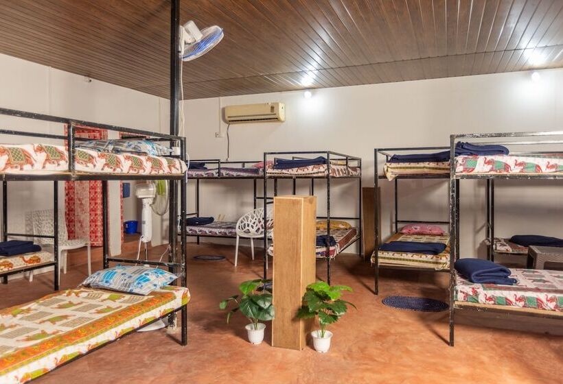 Отель Moonlight Resorts Agonda