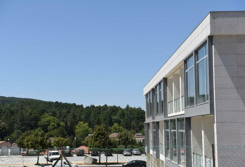 酒店 Pedras Salgadas