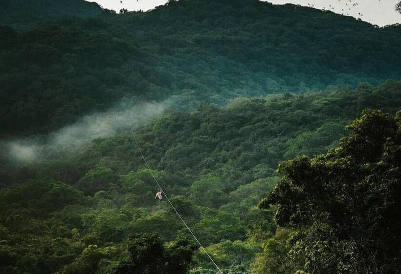 فندق San Vicente