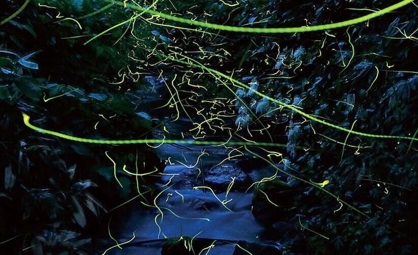 酒店 Shigakogen Lodge