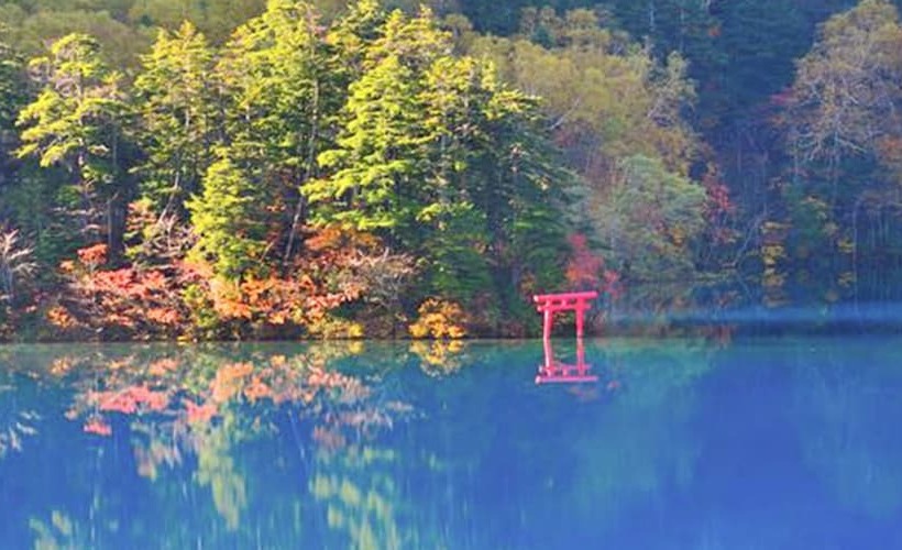 酒店 Shigakogen Lodge