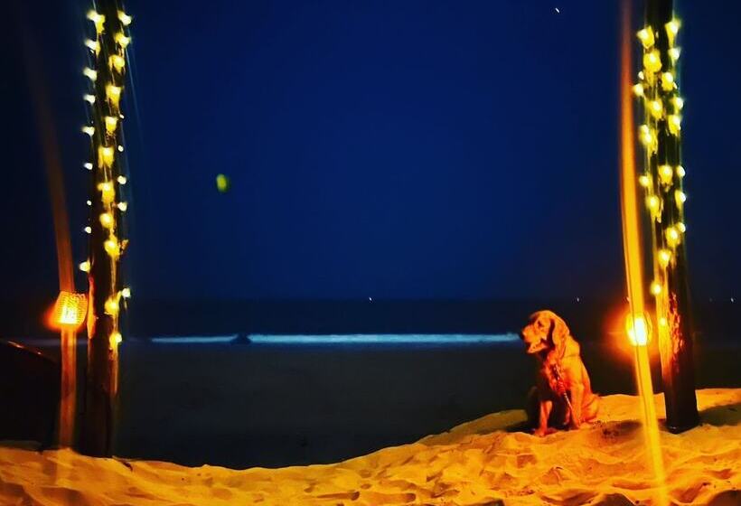 בית מלון כפרי The Seventh Heaven Resort & Ocean Stays